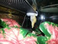 /album/fotogaleria/a20121109-173421-jpg/